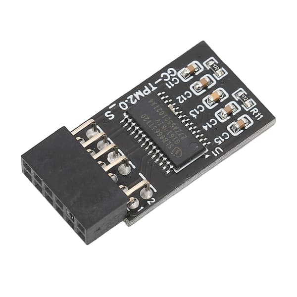 High Security Remote Card Encryption Security Module til GIGABYTE 12Pin LPC Interface