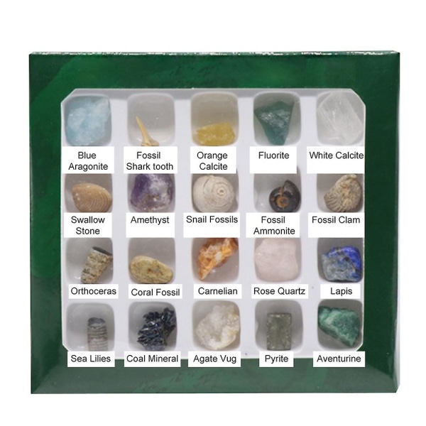20 Slags Mini Størrelse Naturlig Krystal Agat Sten Klipper Mineraler Fossiler Børn Undervisningsmaterialer til geologientusiaster Samlingsgaver