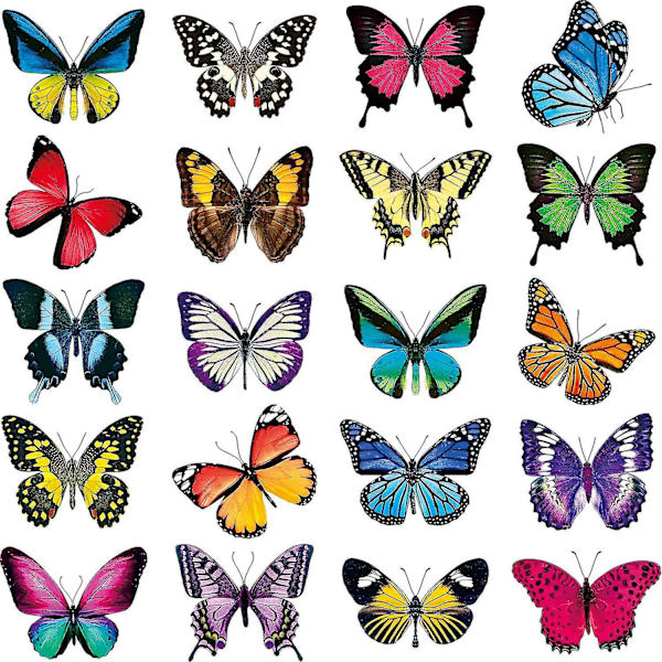 20 Butterfly Window Adhesive Decal