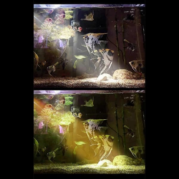 LED-akvariumbelysning energieffektiv undervattensgrottaccenter White Light