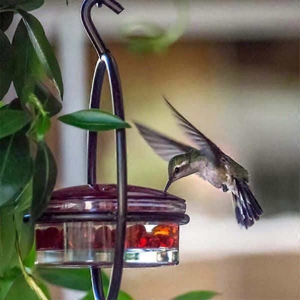 【BQ】Riippuva kolibrin syöttölaite houkuttelee lintuja ulos, kolibrin syöttölaite punaisella lasikulholla ulkokäyttöön Red