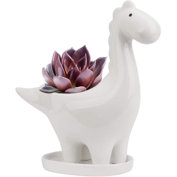 Dinosaurieformad kaktusblomkruka, mini dekoration för inomhusväxtkrukor (vit)