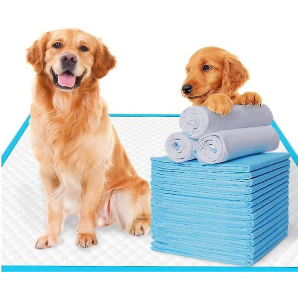 Ekstra store hundetisseputer for valpepottetrening til kjæledyr, superabsorberende 50 pcs 45*60cm