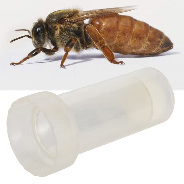 Transparent dronningmerkebur - Lett birøktverktøy