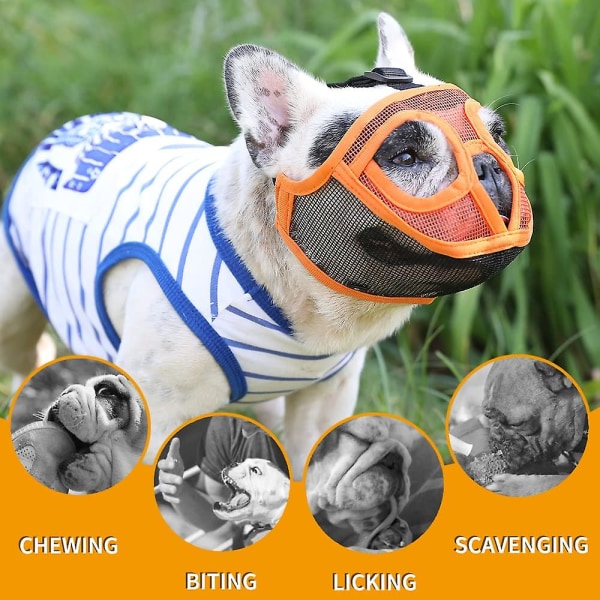 Kort snute hundemunningsmaske pustende netting flatt snuteparti for fransk bulldog shih tzu og mops maske Bulldog snute for biting Blue S