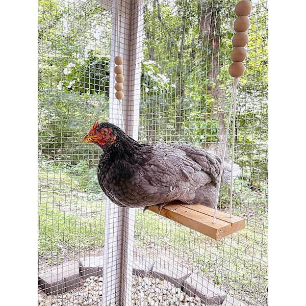 Chicken Swing Toy For Coop Natural Safe Trätillbehör. Stor tålig abborrstege för fjäderfä Run Tupp Höns Kycklingar Husdjur Papegojor Ara Entertai