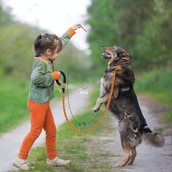 Hundetræning Slip Leash, Dog Slip Lead, Hvalpe Lydighed Recall Training