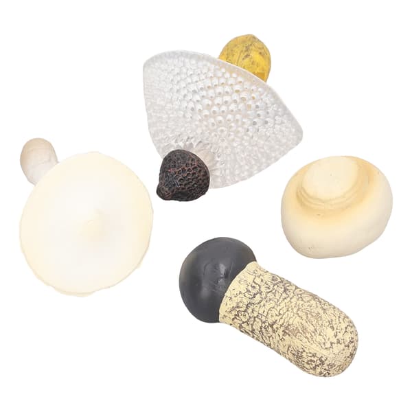 4-pack Miniatyr Svampmodell Set Hög Simulation Svampfigurer Dekoration för Utbildning Typ 3