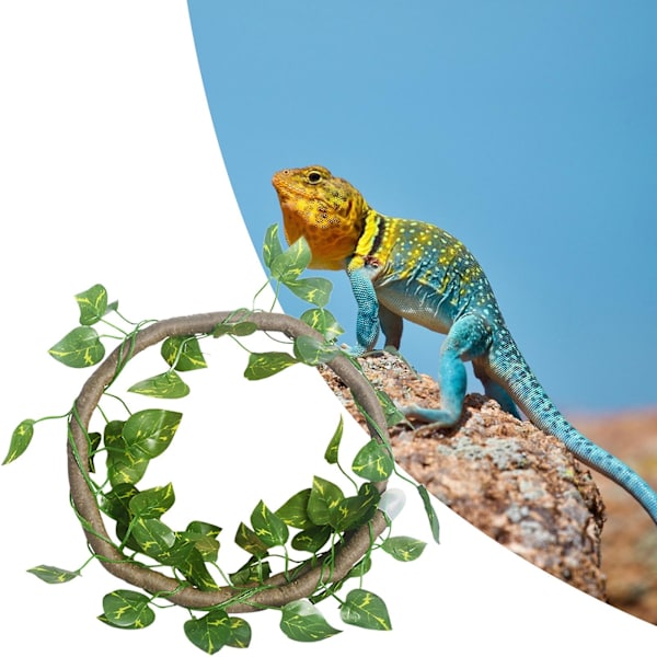 set ödla klättrande vinstockar böjbar med sugsimulering vinrankor grenar Reptilleksak Husdjurstillbehör Stad Green M