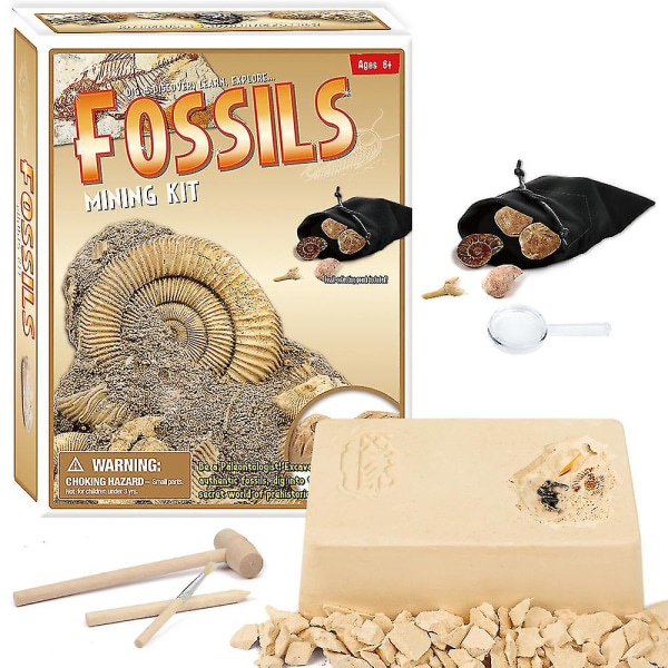 Crystal Mining Kit, Simulated Gemstone Dig Kit, jossa kaivutiili, mukaan lukien satunnaiset kristallikivet ja kaivostyökalut fossil