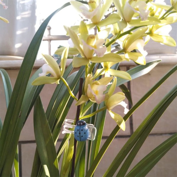 Spring Clip Plant Bracket för orkidéer och Phalaenopsis, nyckelpigor, 30 stycken
