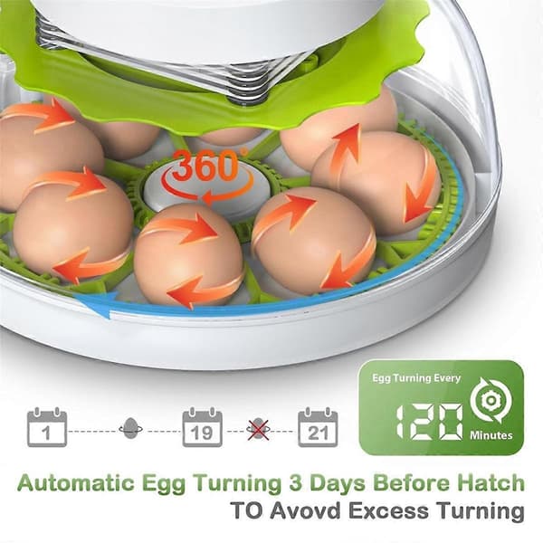 【BQ】Egginkubator med automatisk eggvendingsfunksjon, digital temperatur- og fuktighetskontroll, støtter 8 egg EU-plugg-Perfet