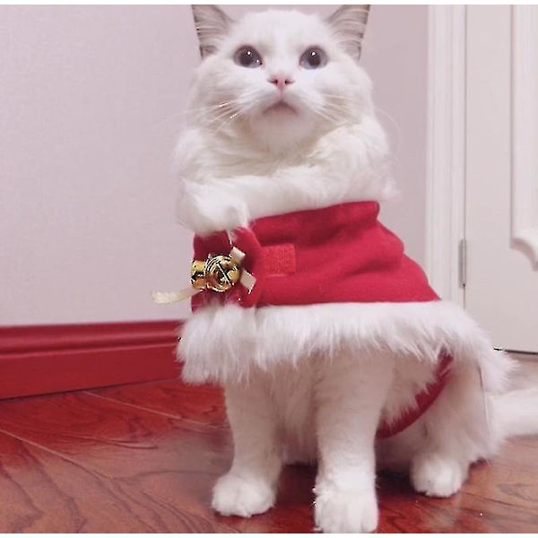 Katt Julekostyme Jul Katt Kapp Kattekappe Dyreklær til jul