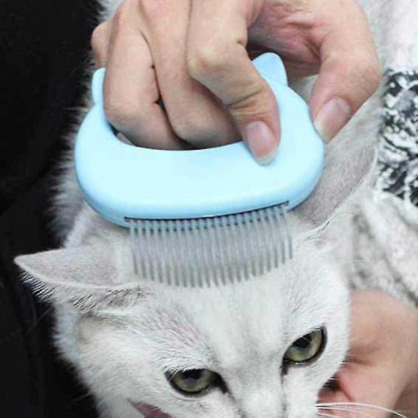 Cat Comb Massager Husdjurshårborttagning Massager Shell Kam Massage Tool Blå