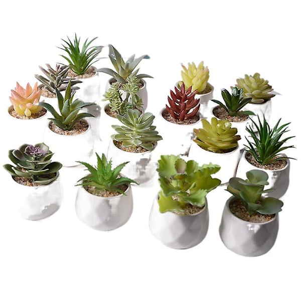 Ny Mini Simulering Suckulent Potted Bonsai Desktop Office Creative Ornaments Cactus small cauliflower flocking pot