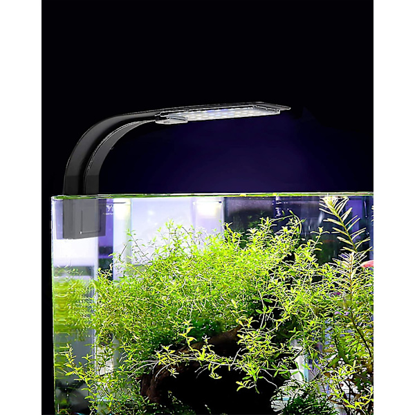 Ultralille LED-lampe til små akvarier, mini-akvarieclips, med 24 hvide lysdioder, til 30-40 cm akvarier, 10w (sort)