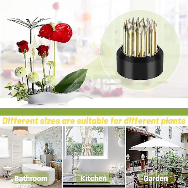 Blomgroda Blommor Grodor Blomsterarrangör Groda Blomsterarrangemang