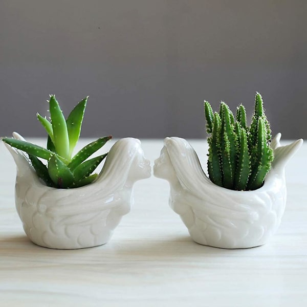 Havfrue Sukkulent Plantepotte Bambus Dræning Hvid Keramisk Cactus Container