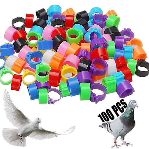 100 st Fågelfotsringar Plast Duva Identifieringsring 8mm Fågelfotsringar för identifiering