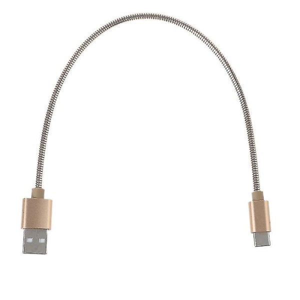 Adapter Type C Datakabelstik Usb C Metalledning 11 tommer Oplader Gylden Golden
