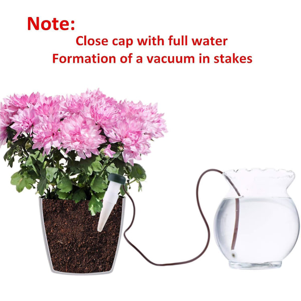 Vandingsstake Automatisk vandingssystem, 10-pak plante selvdrypvanding Langsom frigivelse til indendørs eller udendørs