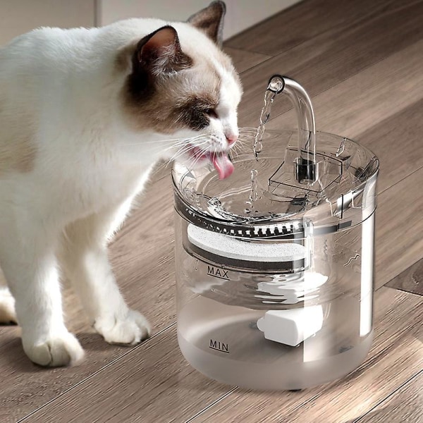 Automatisk dryck för katter 2l Drinker för kattvalpar