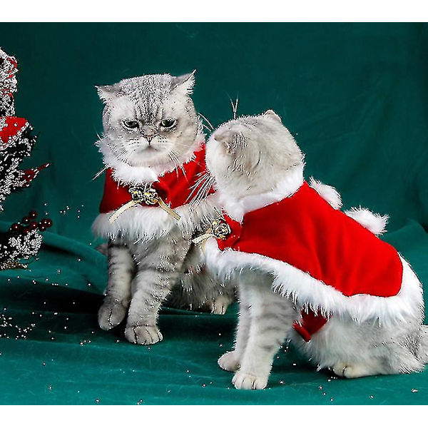 Katt Julekostyme Jul Katt Kapp Kattekappe Dyreklær til jul
