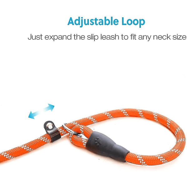 Hundträning Slip Leash, Dog Slip Lead, valp Lydnad Återkalla utbildning