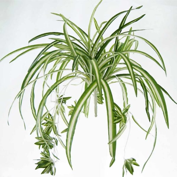 1 bukett stor størrelse Simulatio Chlorophytum Comosumn plantevegg