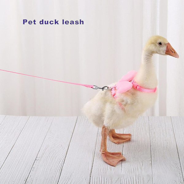 Design Anksele Flexibelt spänne Enfärgad Långt rep Anksele för djur S Gul