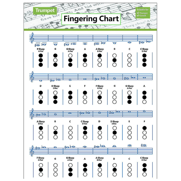 Trompetfingerdiagram Klar Illustration Vandtæt Forfriskende Farve Trompetmusikakkordplakat til begyndere S