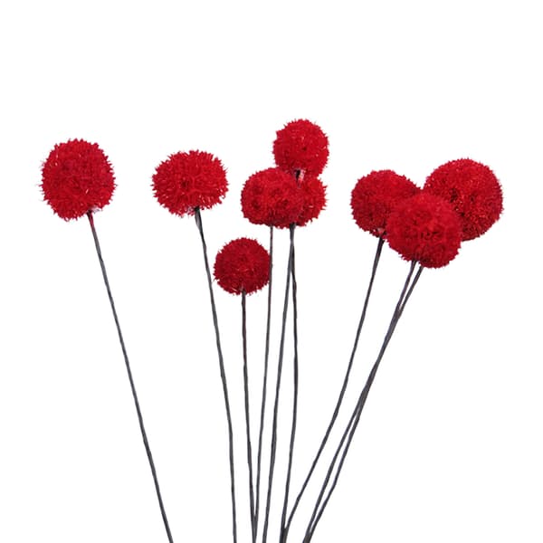 Billy Ball Tørrede Blomster Kunstig Boligindretning til Haven