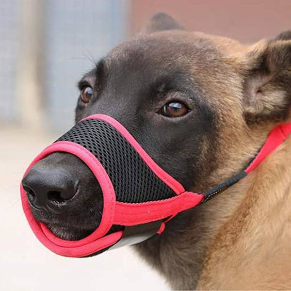 Mjuk hund munkorg Anti-biting Barking Mesh Andas husdjur cover Red M