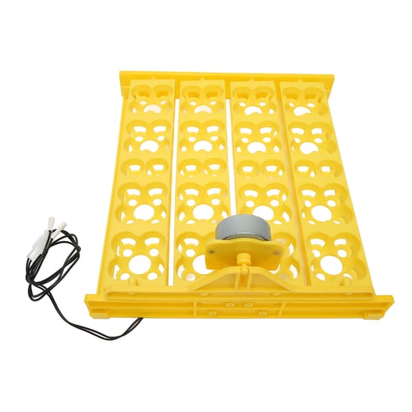 Automatisk eggvendebrett Multifunksjonsinkubator for 16 andeegg 72 vaktel-egg AC110V