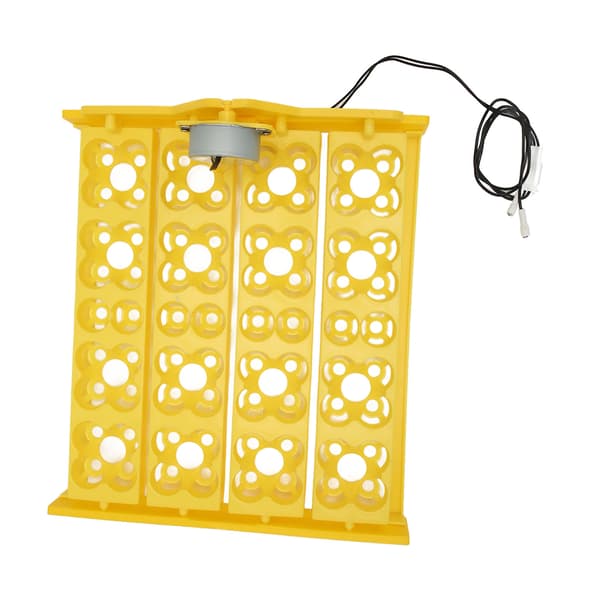 Automatisk eggvendebrett Multifunksjonsinkubator for 16 andeegg 72 vaktel-egg AC110V