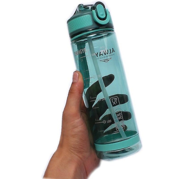 800ml Sports Water Bottle With Straw For Camping Hiking Outdoor Plastic Transparent Bpa Free Bottle gray