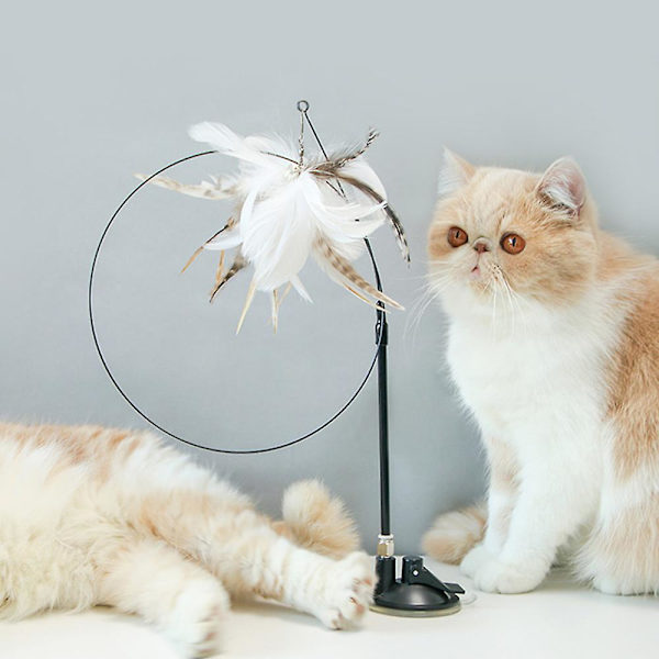 Cat Toys Interactive Feather Toys Sugkoppar Husdjur inomhusleksaker