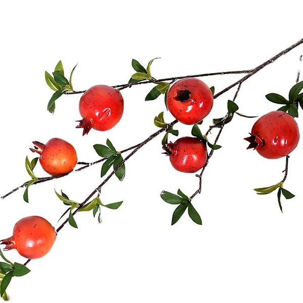Simulaatiokukka granaattiomena 6 hedelmää lehdillä ja isolla oksalla kasvi Mallihuone Hotelli Etusivu Pehmeä granaattiomena hedelmä red
