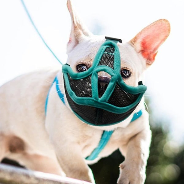 Kort nos för hund Justerbar mask utomhus Anti Stop Barking Andas Mesh Nosparti för Pet Fransk Bulldog Mops Pekingese 1 XL