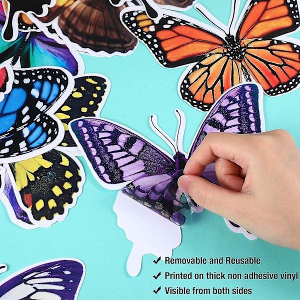20 Butterfly Window Adhesive Decal