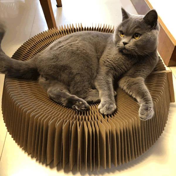 Kattskrapbräda Återvunnet wellpapper, kattleksaker, skrapdynor med rund säng, skrapstolpar för kattungar, interaktiva vikbara skrapleksaker