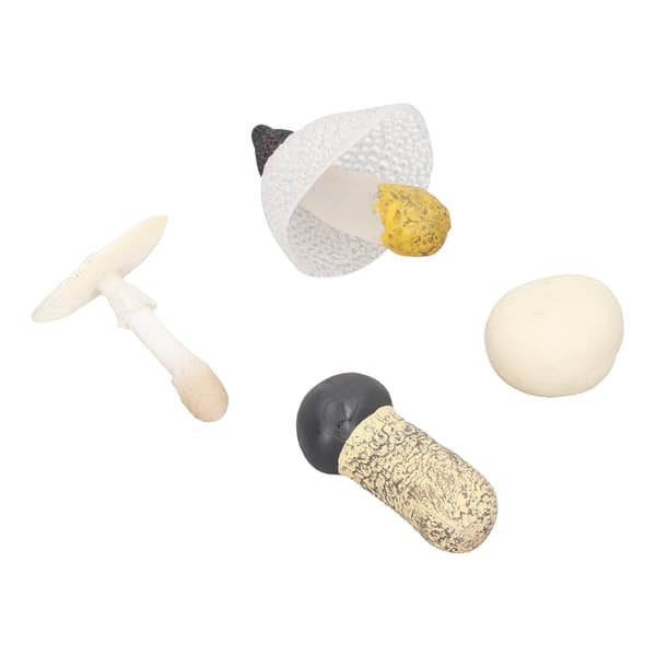 4-pack Miniatyr Svampmodell Set Hög Simulation Svampfigurer Dekoration för Utbildning Typ 3