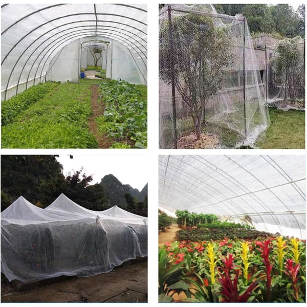 Net til haven, anti-insekt net til planter, anti-insekt net til （3×4m）