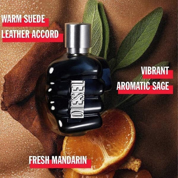 【BQ】Only The Brave Eau de Parfum 125ml