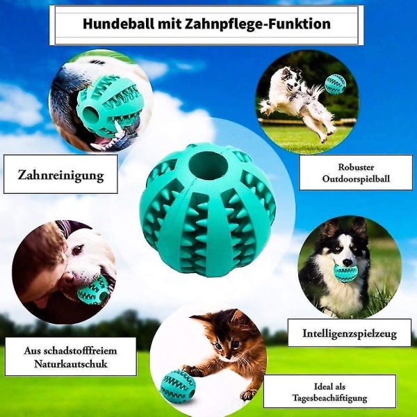 Hundebolde Tandpleje Funktionelle robuste tyggebolde 2-pak med mynte-naturgummityggestykker