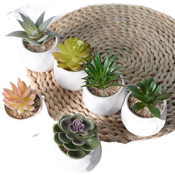 Ny Mini Simulering Suckulent Potted Bonsai Desktop Office Creative Ornaments Cactus desert rose pot