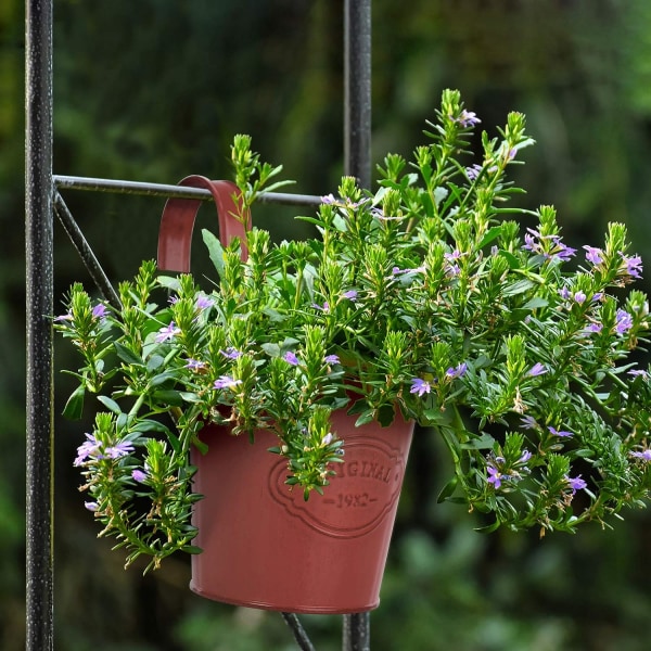 Hängande planteringskar med avtagbar krok, inomhus utomhusväggträdgård (4 delar)