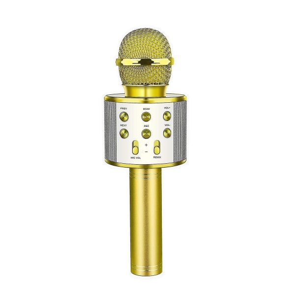 Trådlös bärbar karaokemikrofon-bluetooth-mikrofon högtalare för fest Gold