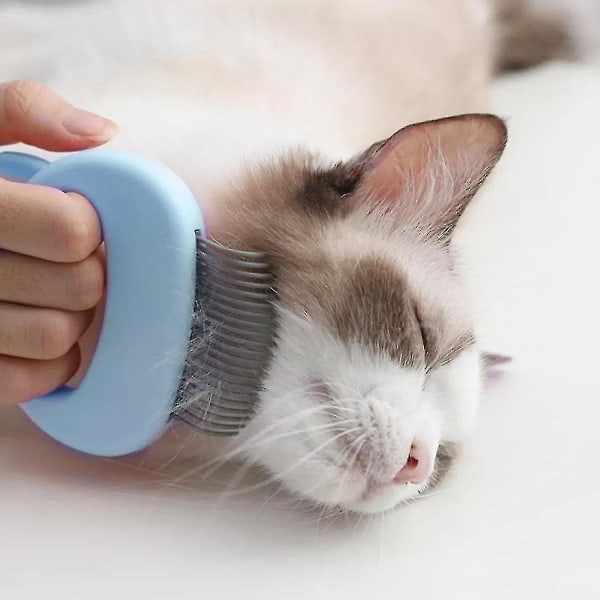 Cat Comb Massager Husdjurshårborttagning Massager Shell Kam Massage Tool Blå