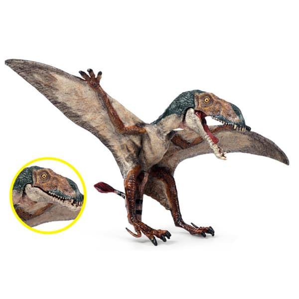 Pterodactyl Dinosaur PVC Toimintahahmolelu, avoin suu, eläinmalli